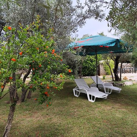 Apartamento Marti'S House In The Olive Grove Fažana Exterior foto
