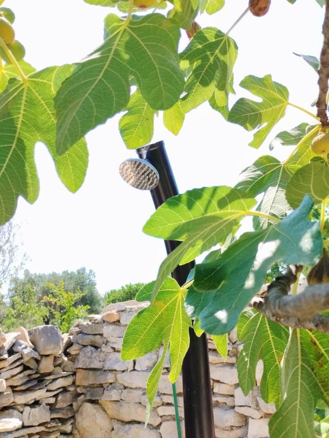 Apartamento Marti'S House In The Olive Grove Fažana Exterior foto