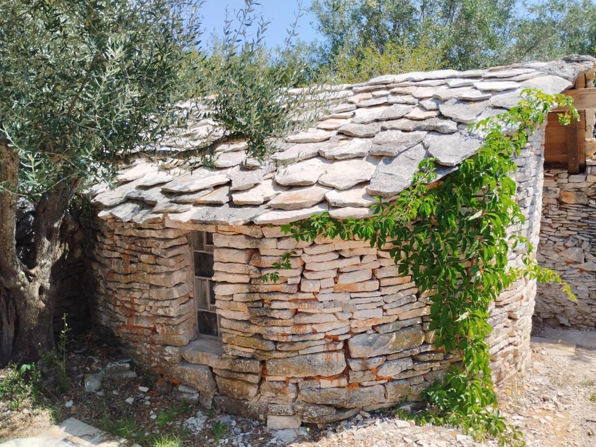 Apartamento Marti'S House In The Olive Grove Fažana Exterior foto