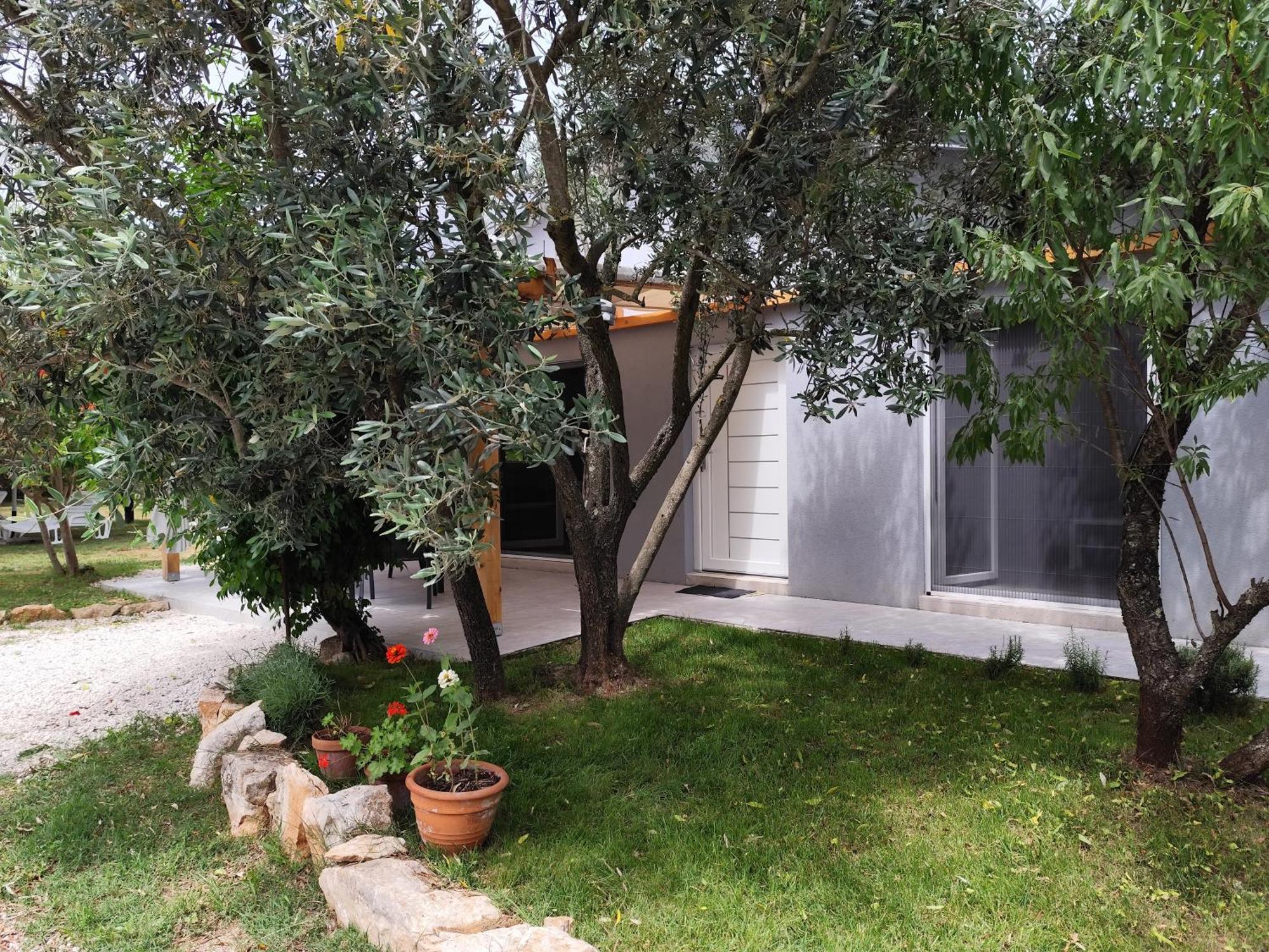Apartamento Marti'S House In The Olive Grove Fažana Exterior foto