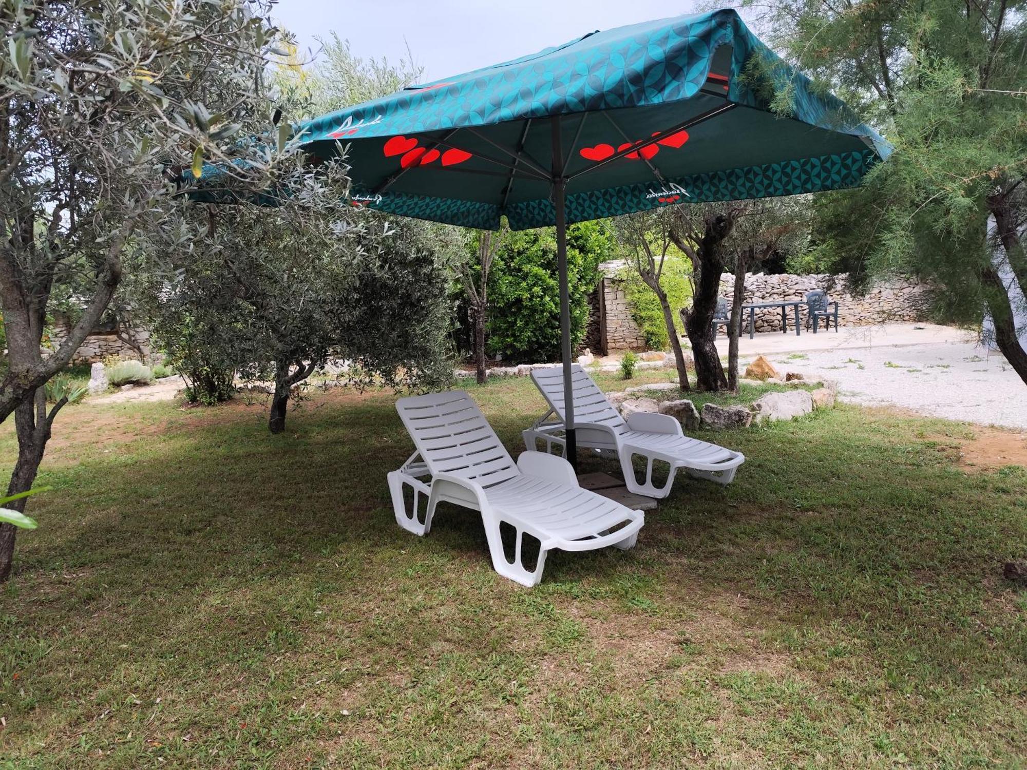 Apartamento Marti'S House In The Olive Grove Fažana Exterior foto