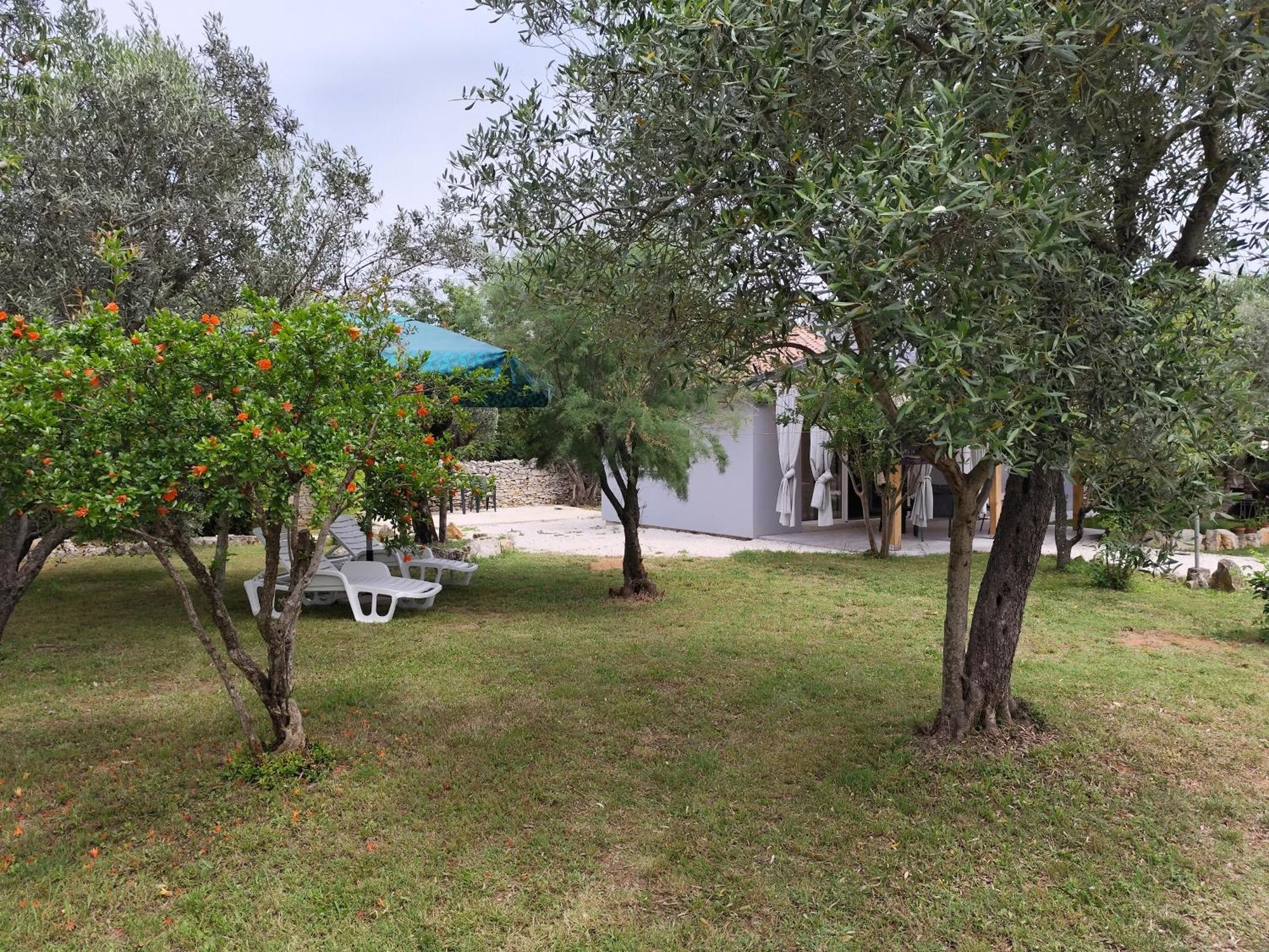 Apartamento Marti'S House In The Olive Grove Fažana Exterior foto